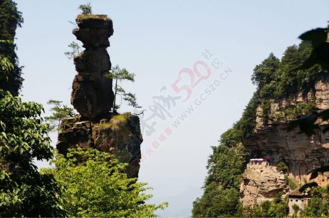 美丽的张家界，快乐的自由行！175 / 作者:微儿211 / 帖子ID:176278