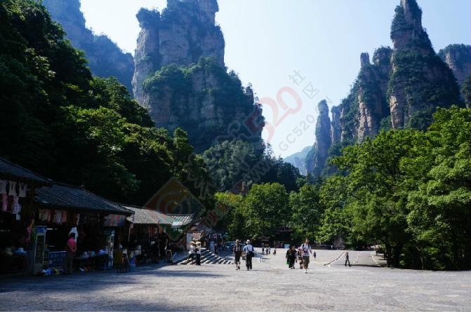美丽的张家界，快乐的自由行！401 / 作者:微儿211 / 帖子ID:176278