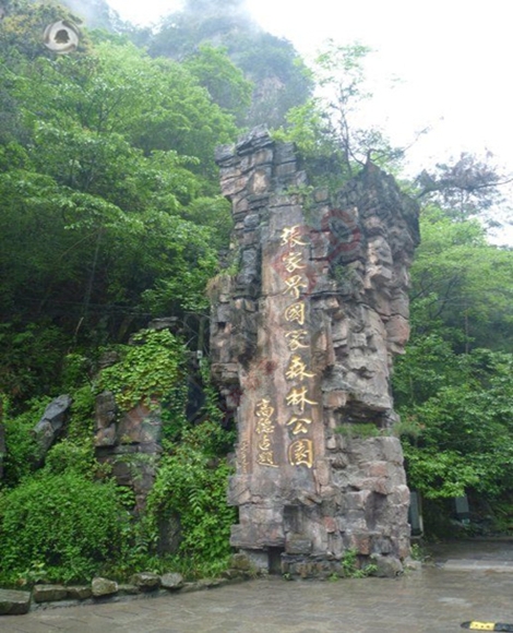 美丽的张家界，快乐的自由行！211 / 作者:微儿211 / 帖子ID:176278
