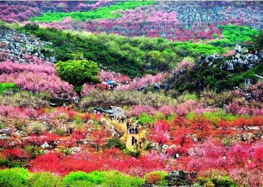 恭城被列为国家电子商务进农村综合示范县，将获得国家财政2000万元的资金支持243 / 作者:深秋的落叶 / 帖子ID:176304