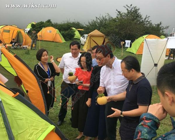 放松心灵之旅--仙女山C-MART 露营集市成避暑新潮168 / 作者:夏爱之梦 / 帖子ID:176353