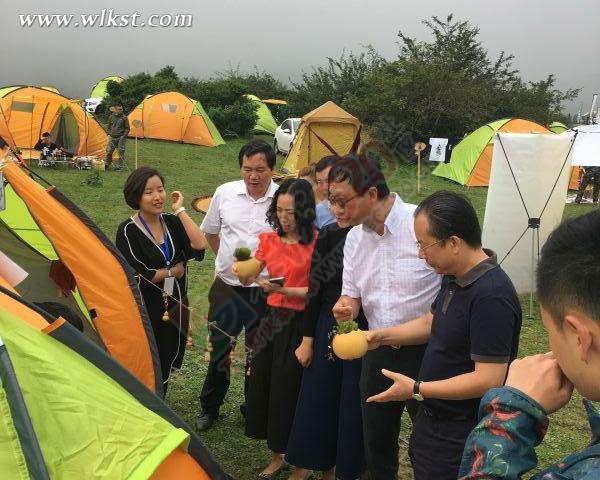 放松心灵之旅--仙女山C-MART 露营集市成避暑新潮526 / 作者:夏爱之梦 / 帖子ID:176353