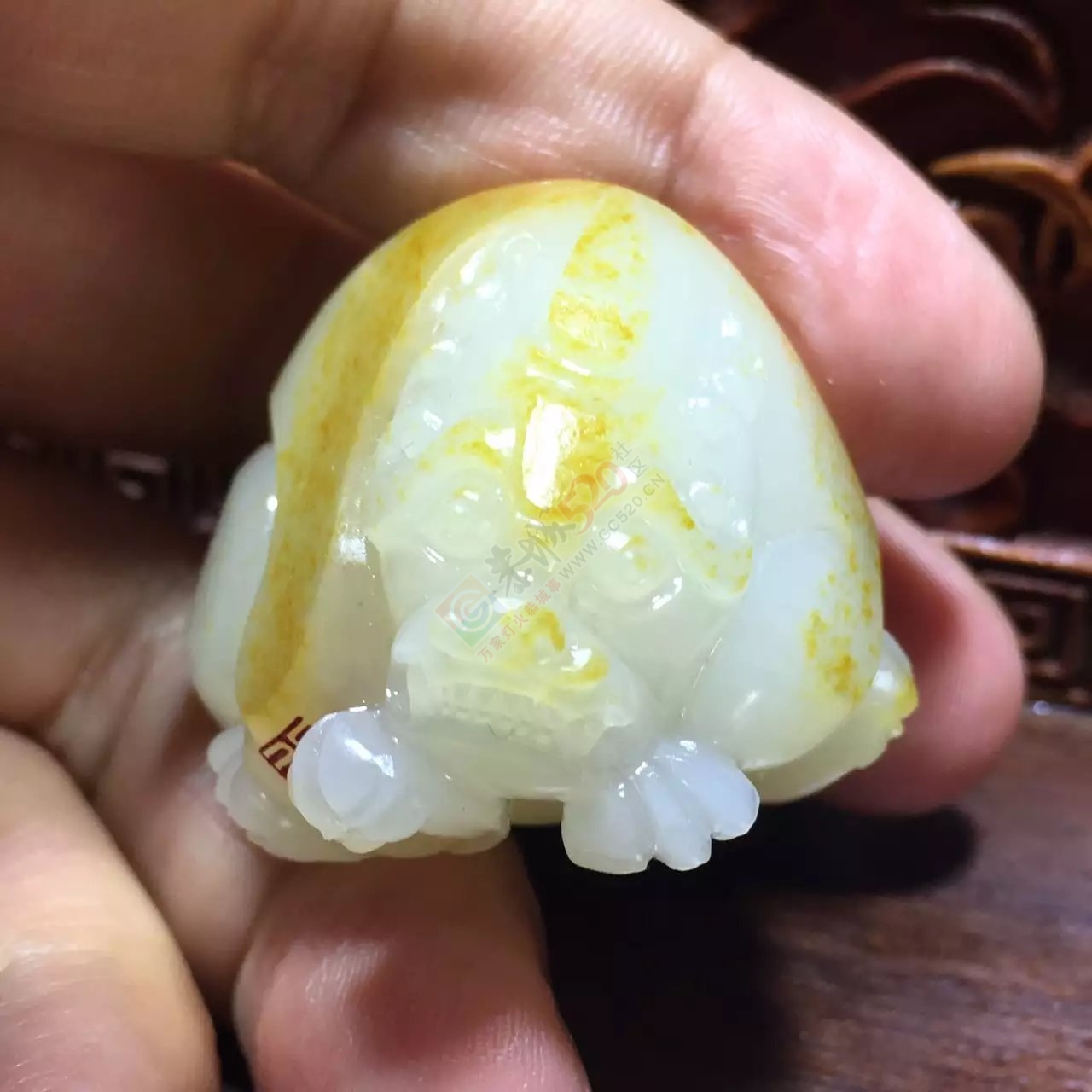 新疆和田天籽料龙龟843 / 作者:错了0227 / 帖子ID:176359