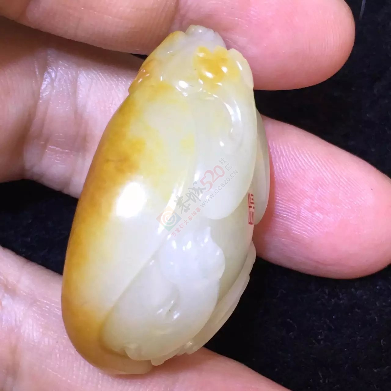 新疆和田玉黄沁皮龙龟932 / 作者:错了0227 / 帖子ID:176508