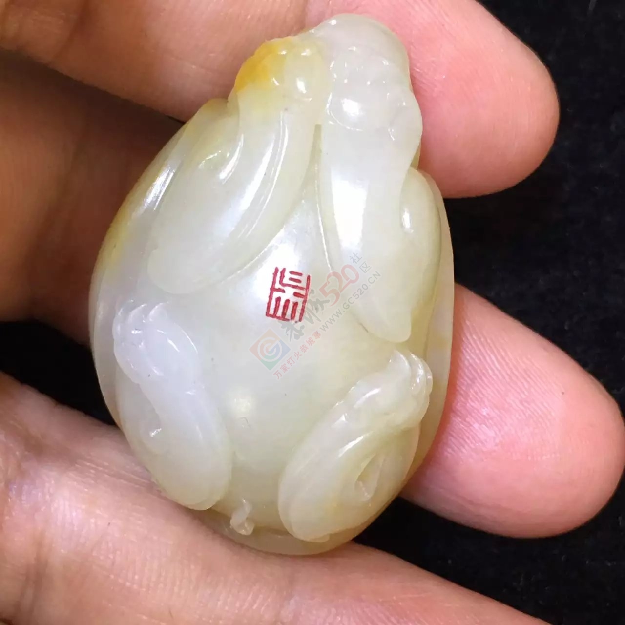 新疆和田玉黄沁皮龙龟477 / 作者:错了0227 / 帖子ID:176511