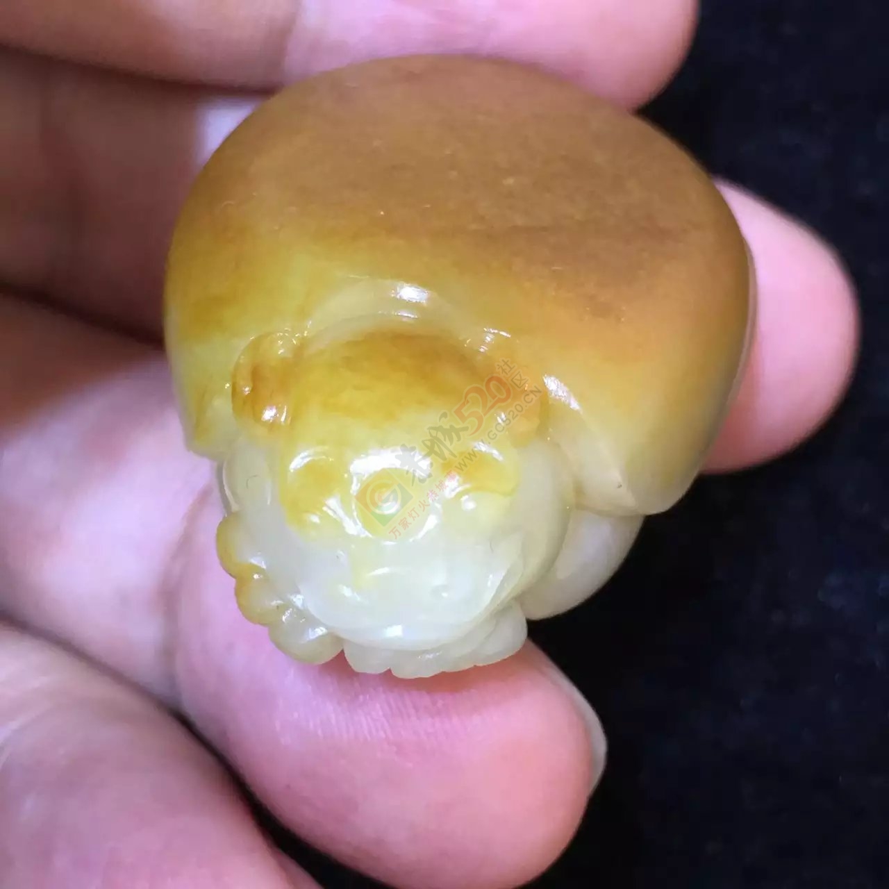 新疆和田玉黄沁皮龙龟445 / 作者:错了0227 / 帖子ID:176511