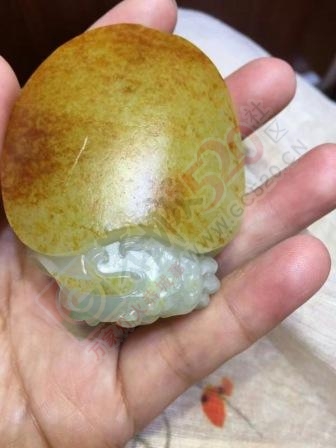 出手127克新疆和田玉籽料龙龟91 / 作者:晚霞行千里 / 帖子ID:176638