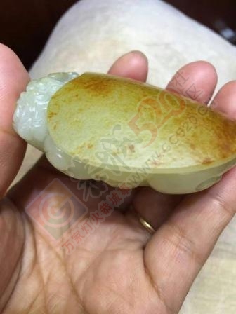 出手127克新疆和田玉籽料龙龟610 / 作者:晚霞行千里 / 帖子ID:176638