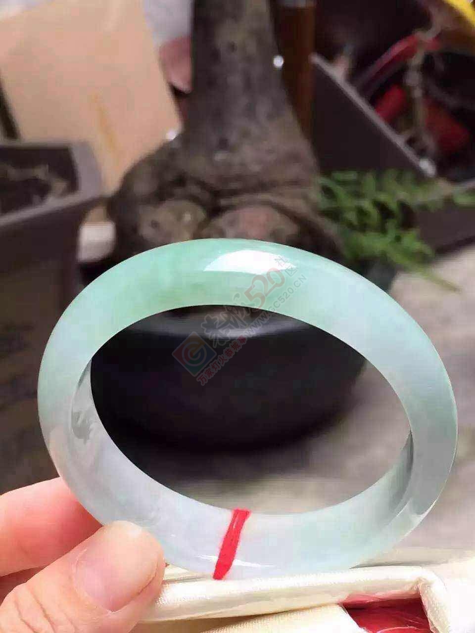 清新高贵典雅手镯，一股清新之风，你值得拥有！！图多，流量党慎入~873 / 作者:猎鹿 / 帖子ID:176761