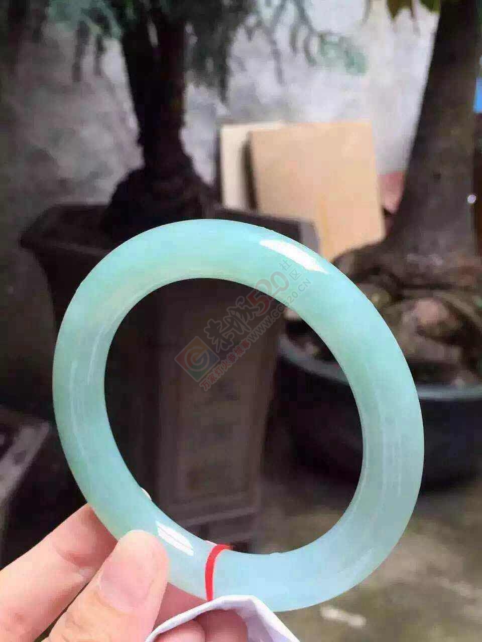 清新高贵典雅手镯，一股清新之风，你值得拥有！！图多，流量党慎入~354 / 作者:猎鹿 / 帖子ID:176761