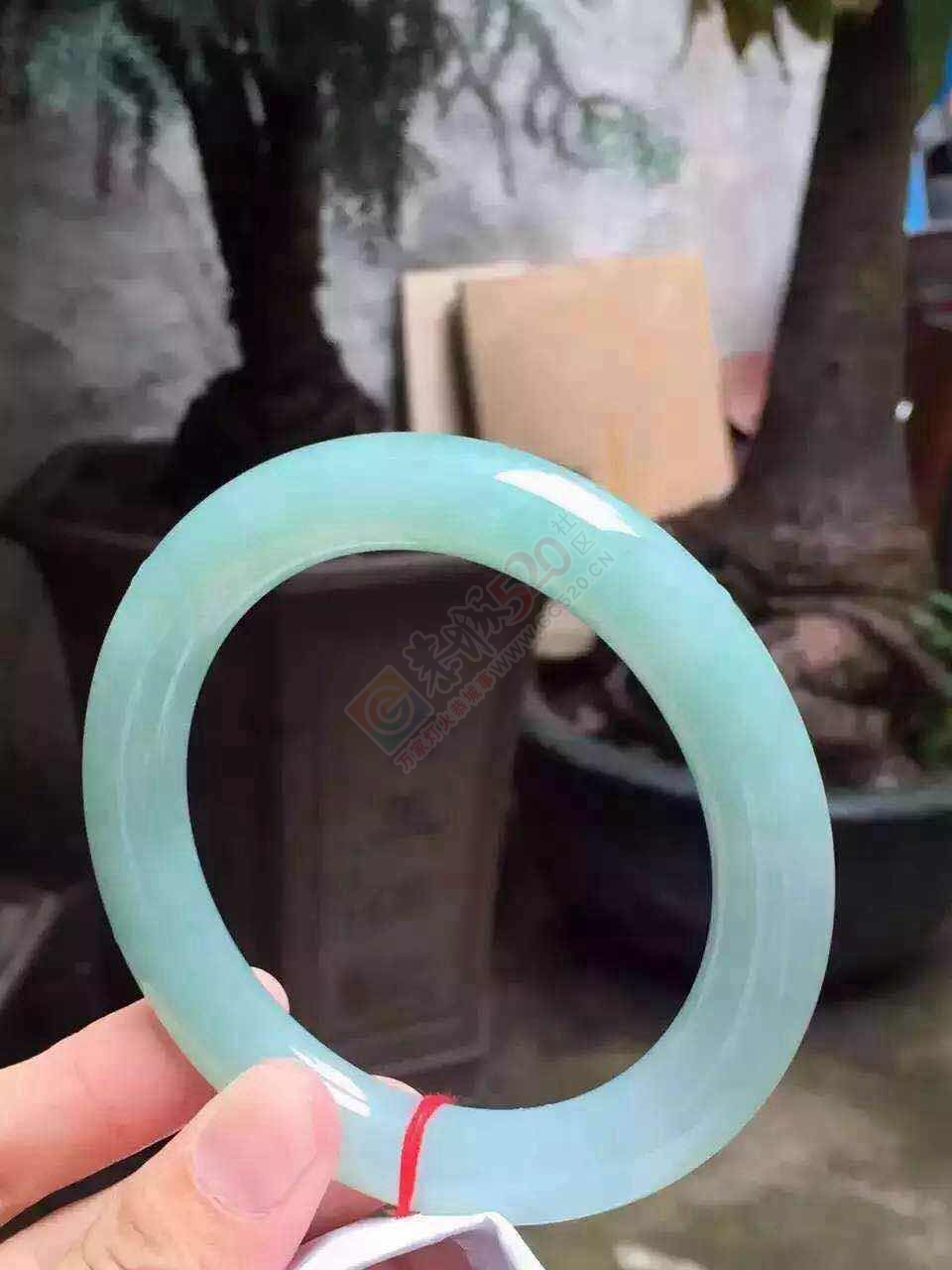 清新高贵典雅手镯，一股清新之风，你值得拥有！！图多，流量党慎入~195 / 作者:猎鹿 / 帖子ID:176761