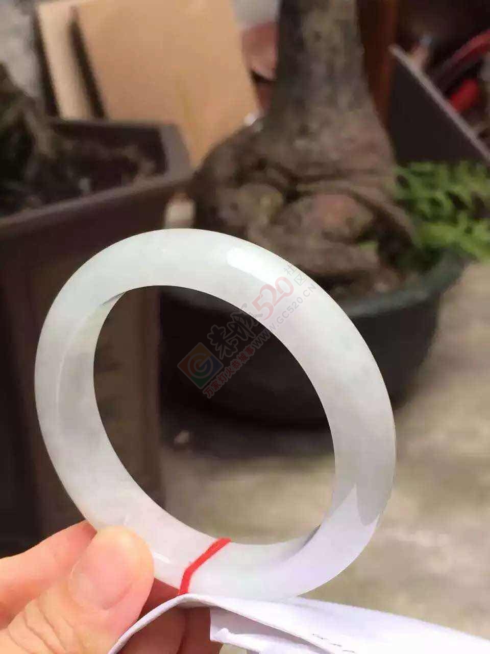 清新高贵典雅手镯，一股清新之风，你值得拥有！！图多，流量党慎入~728 / 作者:猎鹿 / 帖子ID:176761
