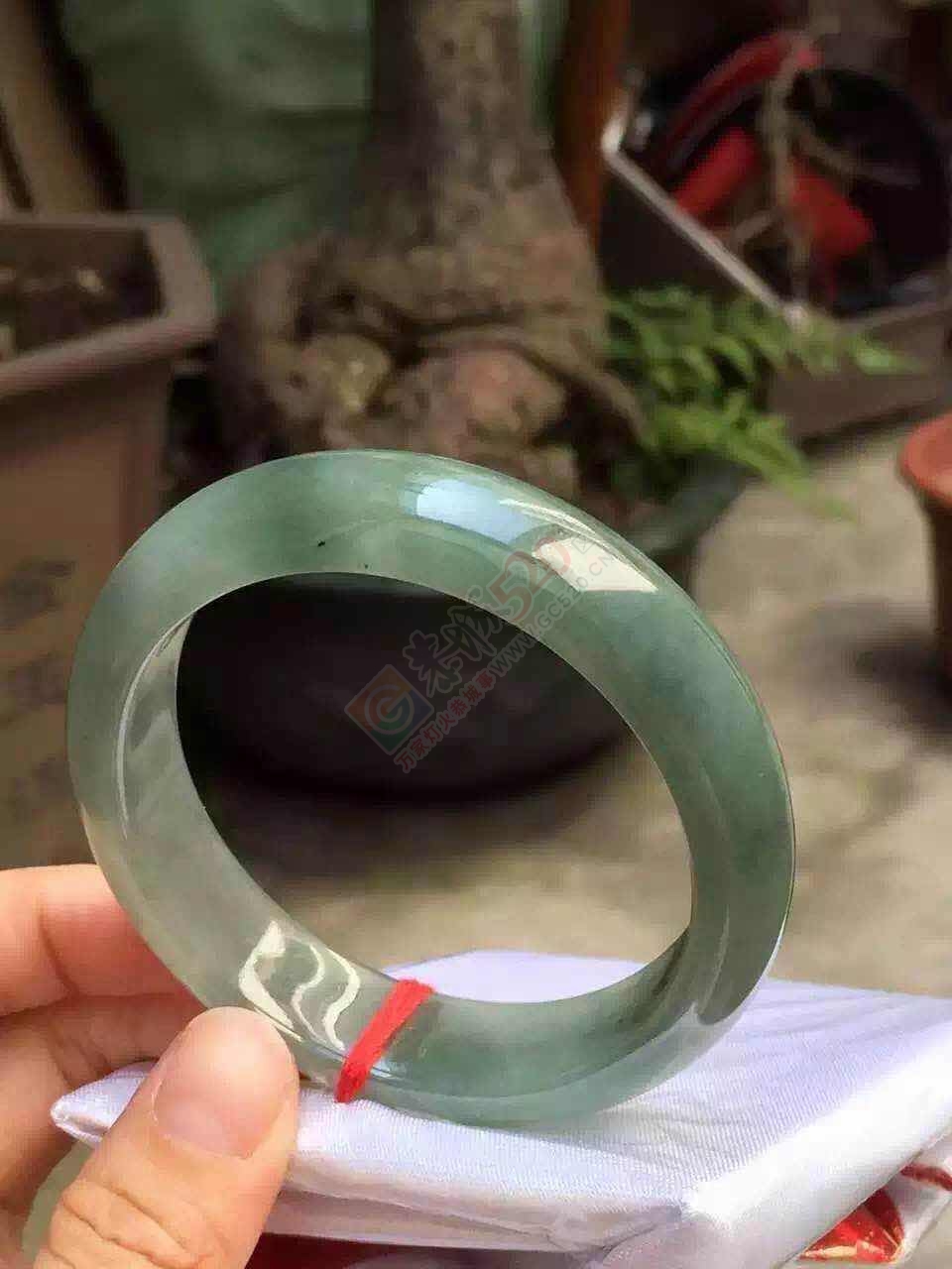 清新高贵典雅手镯，一股清新之风，你值得拥有！！图多，流量党慎入~931 / 作者:猎鹿 / 帖子ID:176761