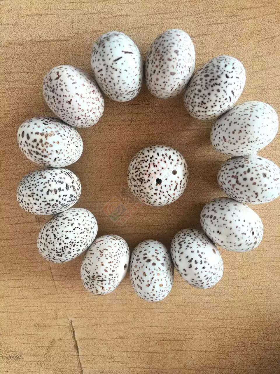 喜欢玩星月和佛珠的可以一起交流下，新人贴，多支持，本人有很多玩佛珠的心得16 / 作者:猎鹿 / 帖子ID:176762