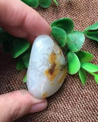 转让47克新疆和田玉籽料作品—喜上眉梢491 / 作者:晚霞行千里 / 帖子ID:176768