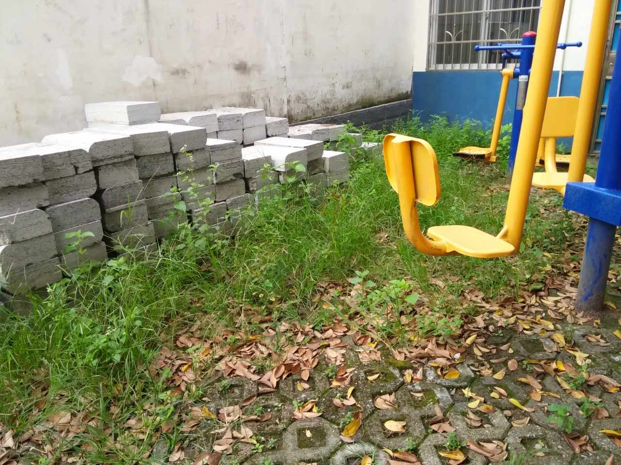 观音的城乡卫生整治，为何他们却没有带头作用？291 / 作者:格桑梅朵 / 帖子ID:176849