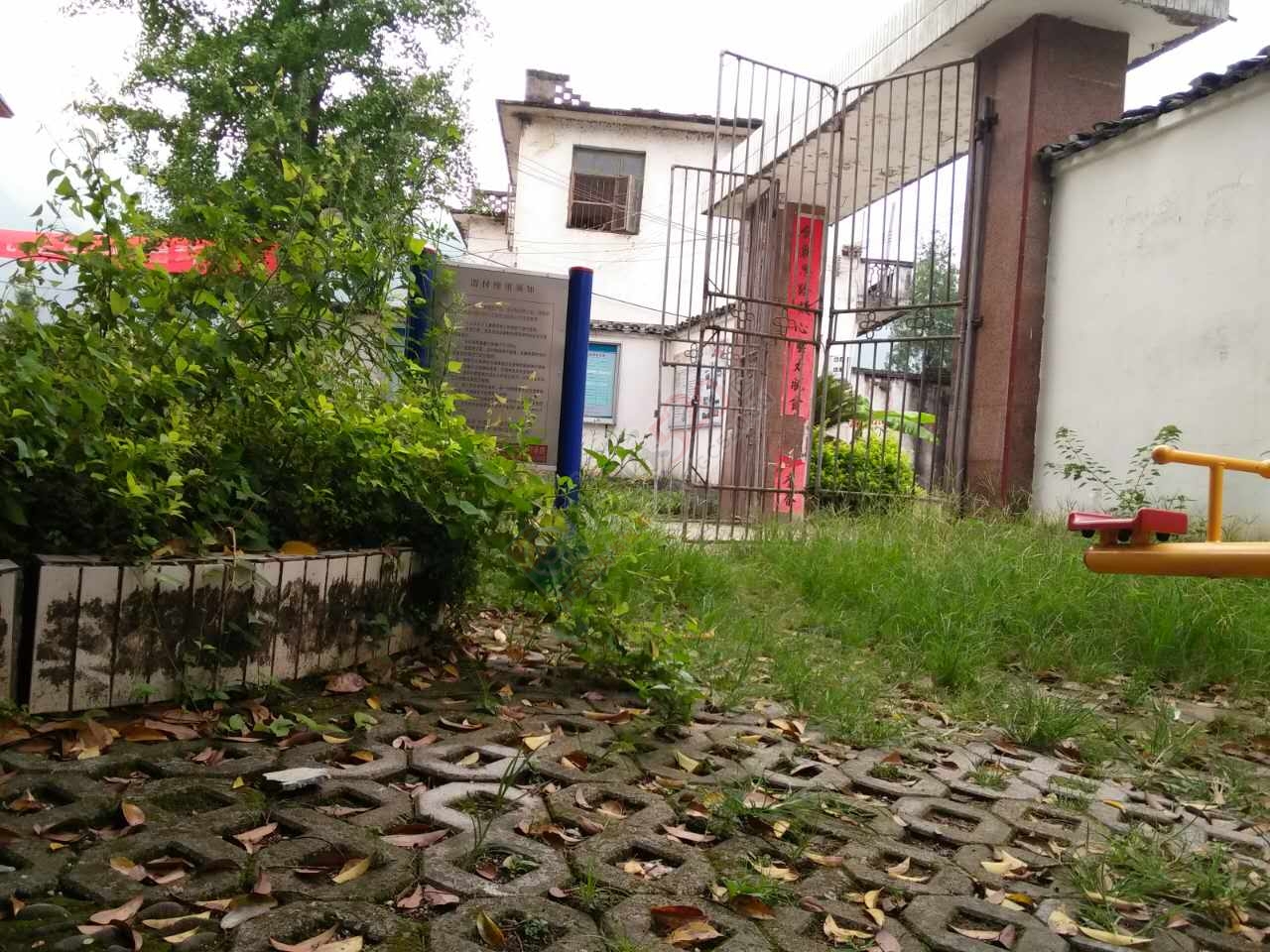 观音的城乡卫生整治，为何他们却没有带头作用？404 / 作者:格桑梅朵 / 帖子ID:176849