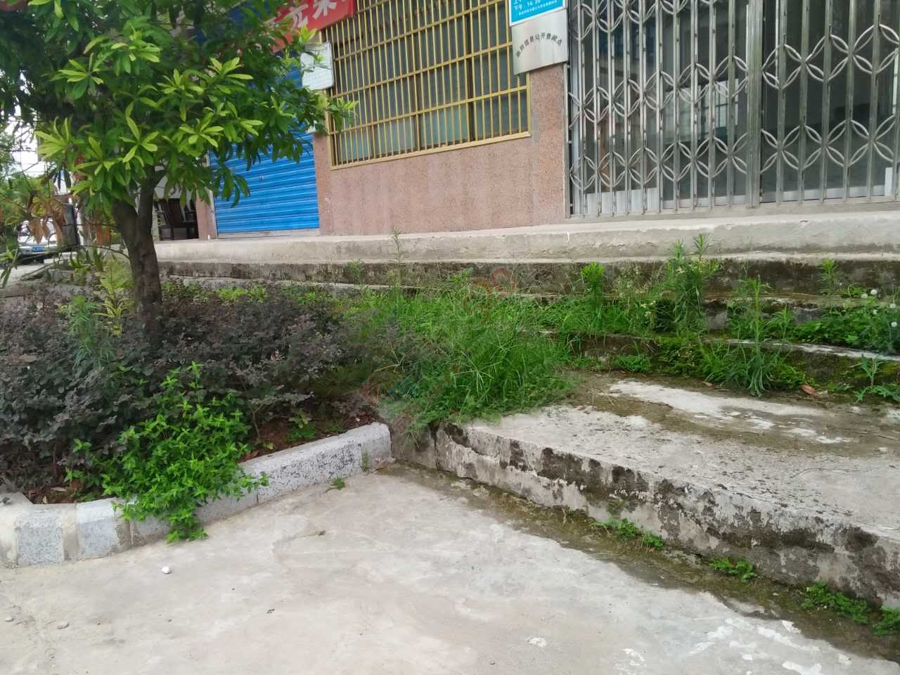 观音的城乡卫生整治，为何他们却没有带头作用？590 / 作者:格桑梅朵 / 帖子ID:176849