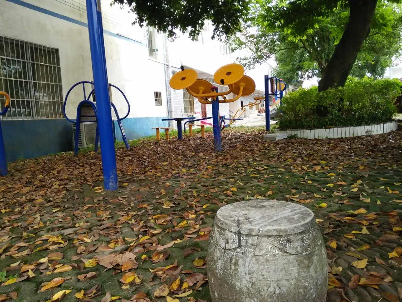 观音的城乡卫生整治，为何他们却没有带头作用？9 / 作者:格桑梅朵 / 帖子ID:176849