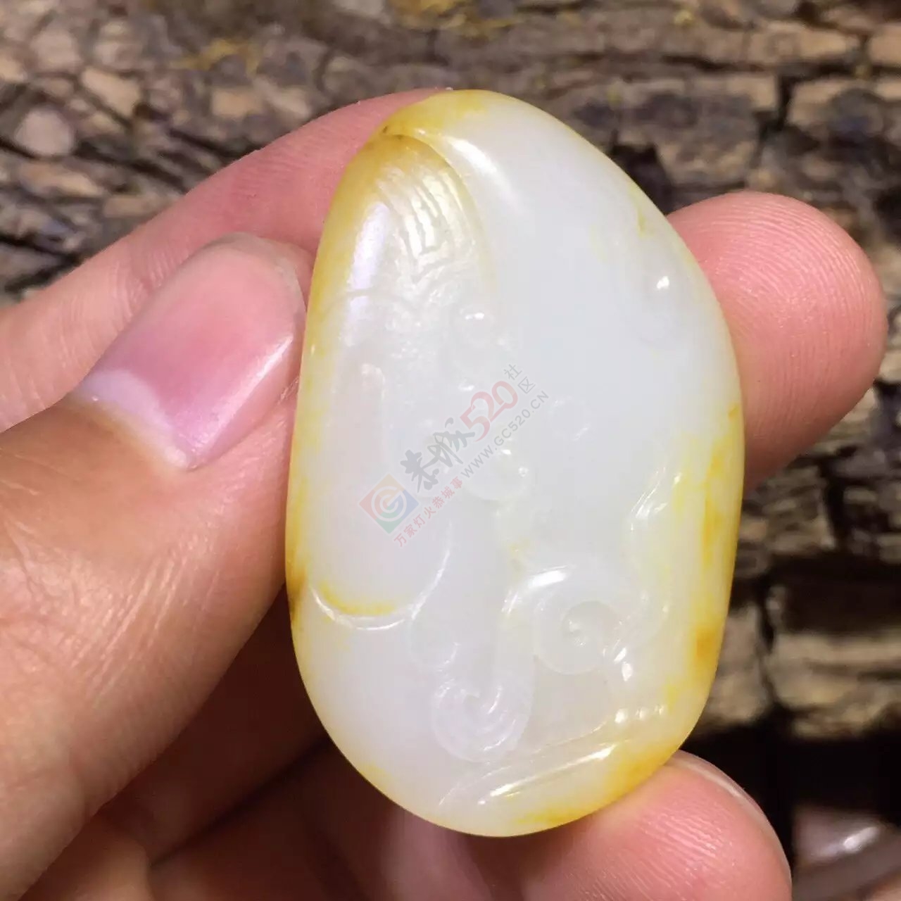 新疆和田玉籽料古龙洒金皮独籽一枚339 / 作者:子涵 / 帖子ID:176897