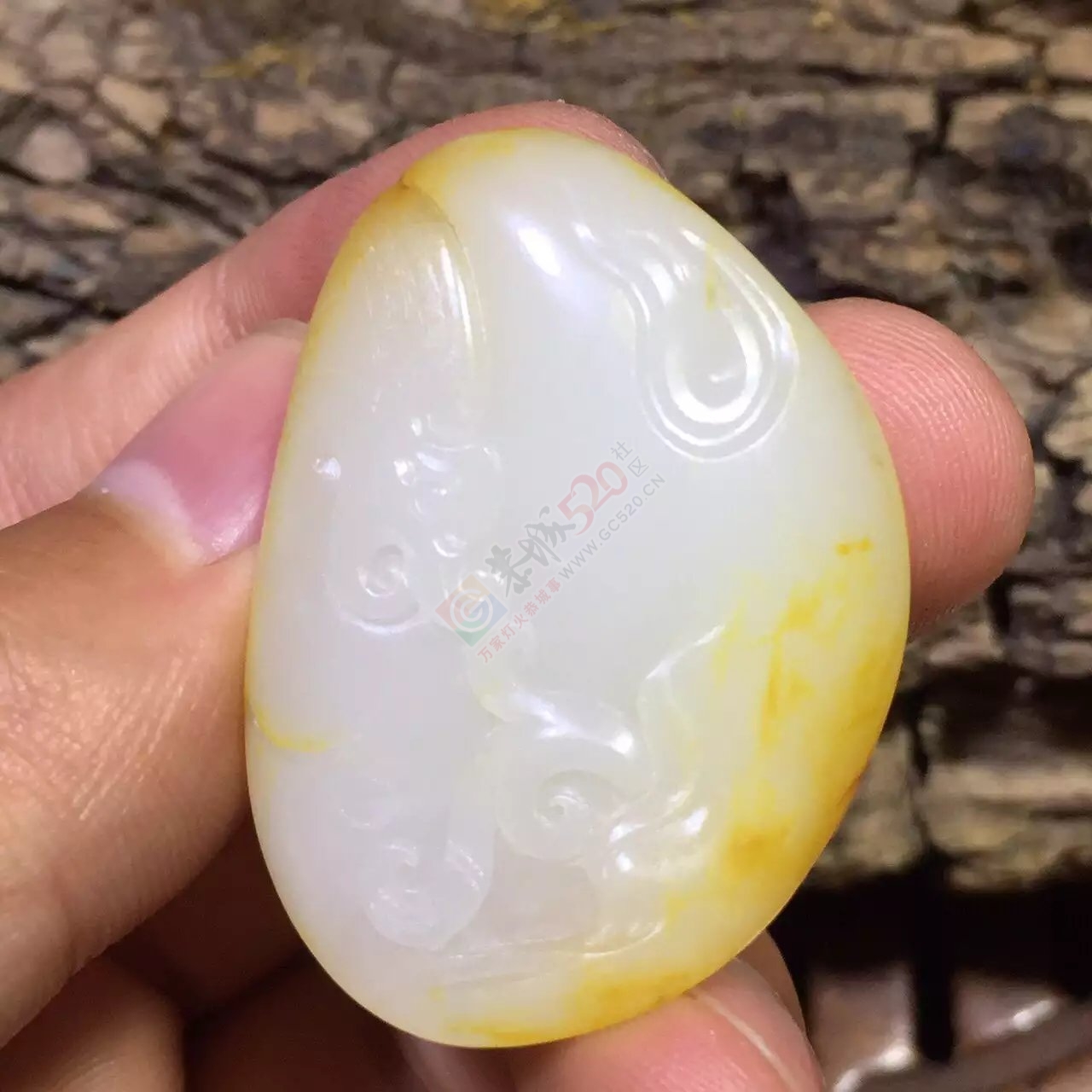 新疆和田玉籽料古龙洒金皮独籽一枚602 / 作者:子涵 / 帖子ID:176897