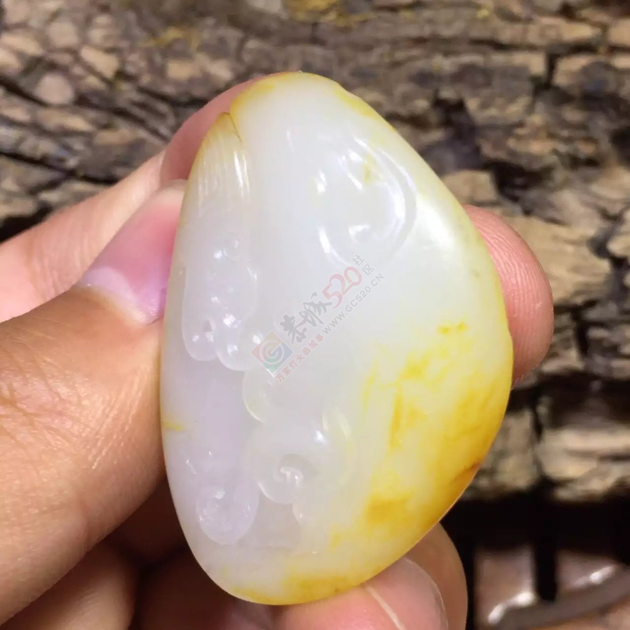 新疆和田玉籽料古龙洒金皮独籽一枚45 / 作者:子涵 / 帖子ID:176897