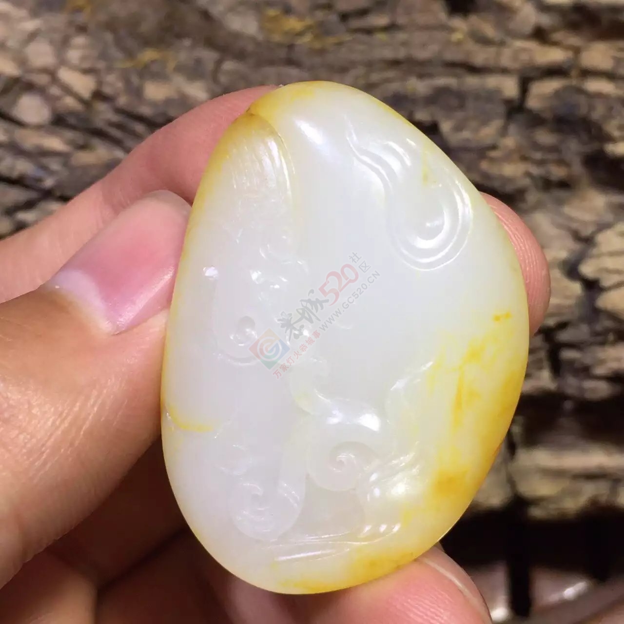 新疆和田玉籽料古龙洒金皮独籽一枚998 / 作者:子涵 / 帖子ID:176897