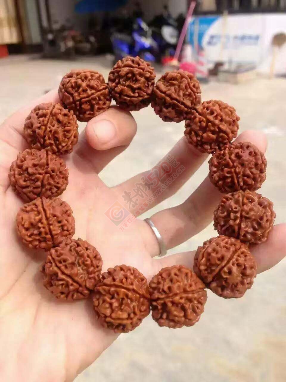 喜欢玩星月和佛珠的可以一起交流下，新人贴，多支持，本人有很多玩佛珠的心得647 / 作者:猎鹿 / 帖子ID:176762