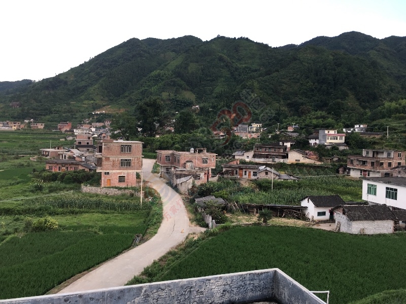 家乡好……龙尾寨350 / 作者:暖心 / 帖子ID:176944