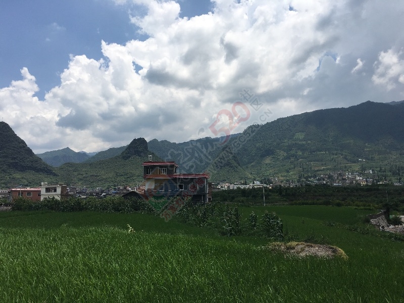 家乡好……龙尾寨380 / 作者:暖心 / 帖子ID:176944