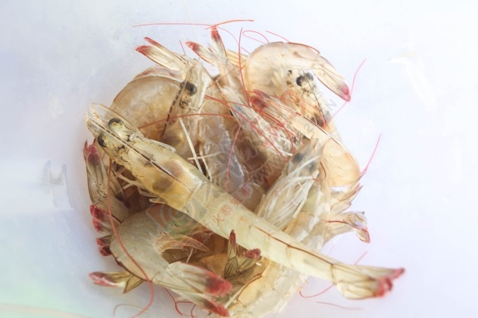 为这一刻细心珍藏 美景美食美人相得益彰657 / 作者:妞妞好 / 帖子ID:177366