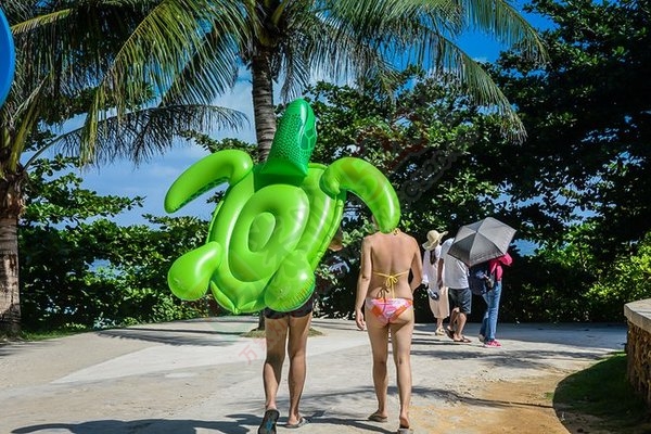 带着梦想与勇气去三亚，读懂生活读懂海！135 / 作者:妞妞好 / 帖子ID:177618
