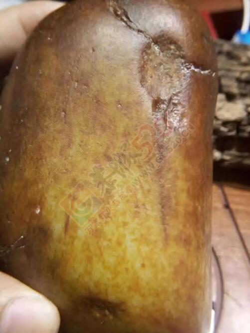 出手和田玉籽料红皮白肉原籽488 / 作者:月落风 / 帖子ID:178274
