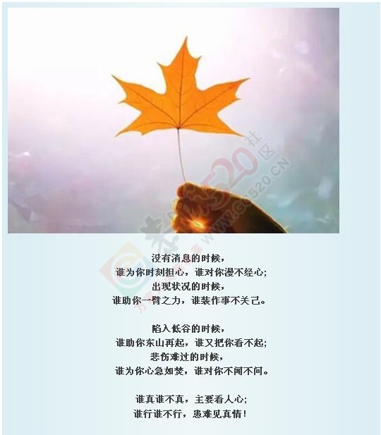 落叶才知秋，落难才知友!433 / 作者:罗少爷 / 帖子ID:178340