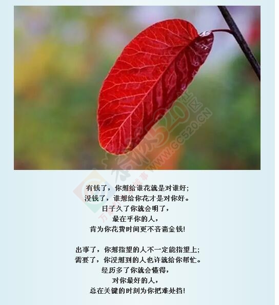 落叶才知秋，落难才知友!407 / 作者:罗少爷 / 帖子ID:178340