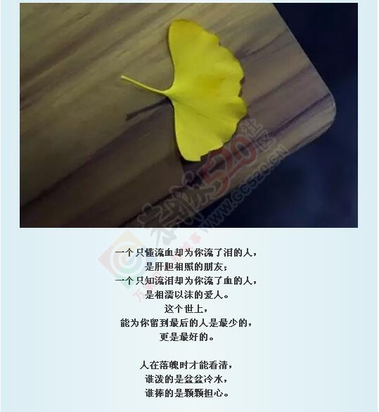 落叶才知秋，落难才知友!566 / 作者:罗少爷 / 帖子ID:178340