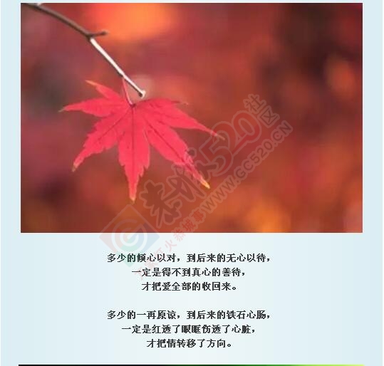 落叶才知秋，落难才知友!591 / 作者:罗少爷 / 帖子ID:178340