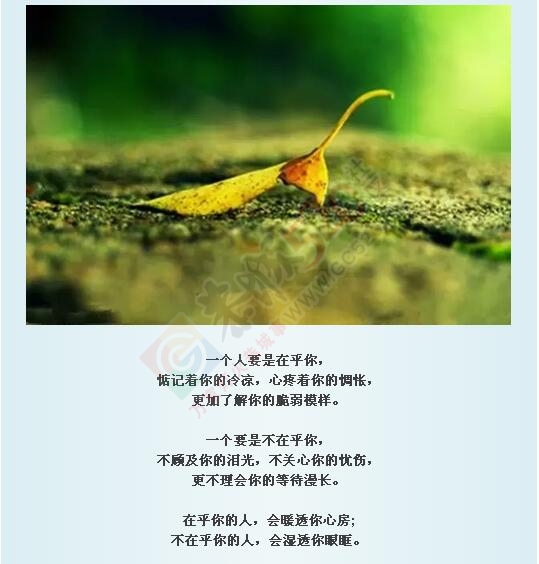 落叶才知秋，落难才知友!337 / 作者:罗少爷 / 帖子ID:178340