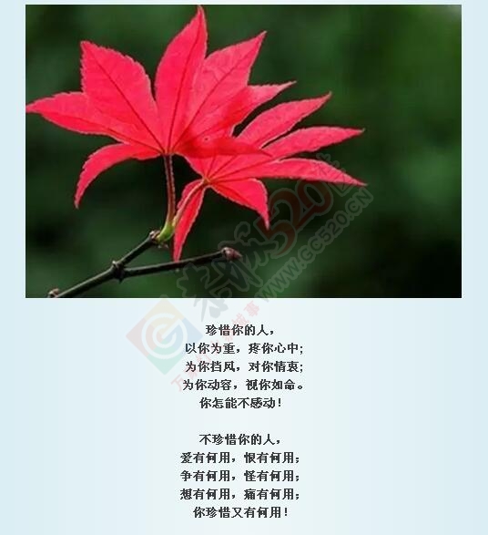 落叶才知秋，落难才知友!139 / 作者:罗少爷 / 帖子ID:178340