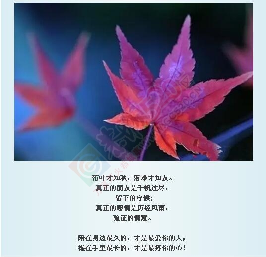 落叶才知秋，落难才知友!53 / 作者:罗少爷 / 帖子ID:178340