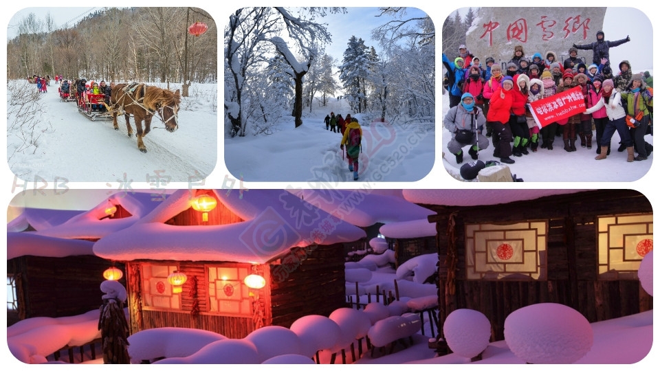 【冰雪户外】2016-17哈尔滨冰灯-东升穿越雪乡-长白山滑雪-吉林雾凇岛7日游752 / 作者:冰雪小小 / 帖子ID:179595