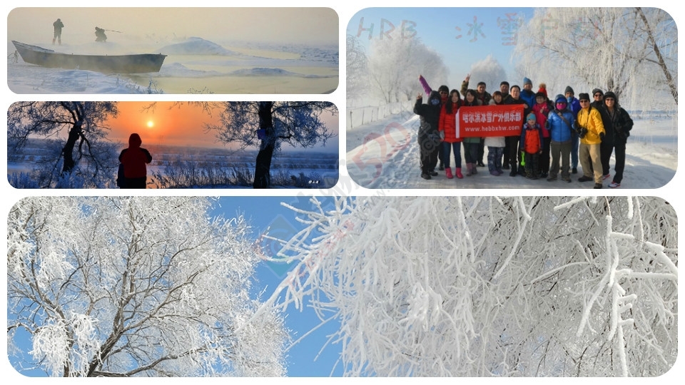【冰雪户外】2016-17哈尔滨冰灯-东升穿越雪乡-长白山滑雪-吉林雾凇岛7日游610 / 作者:冰雪小小 / 帖子ID:179595