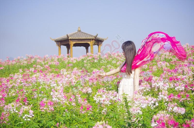 秋日万花相映红——忻城薰衣草庄园游718 / 作者:kexin520 / 帖子ID:179628