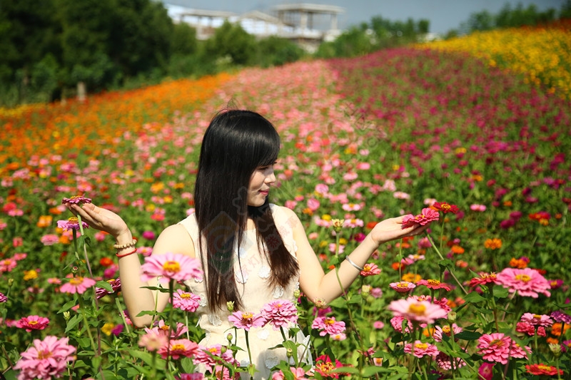 秋日万花相映红——忻城薰衣草庄园游715 / 作者:kexin520 / 帖子ID:179628