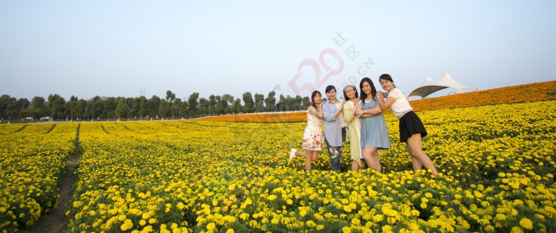 秋日万花相映红——忻城薰衣草庄园游475 / 作者:kexin520 / 帖子ID:179628