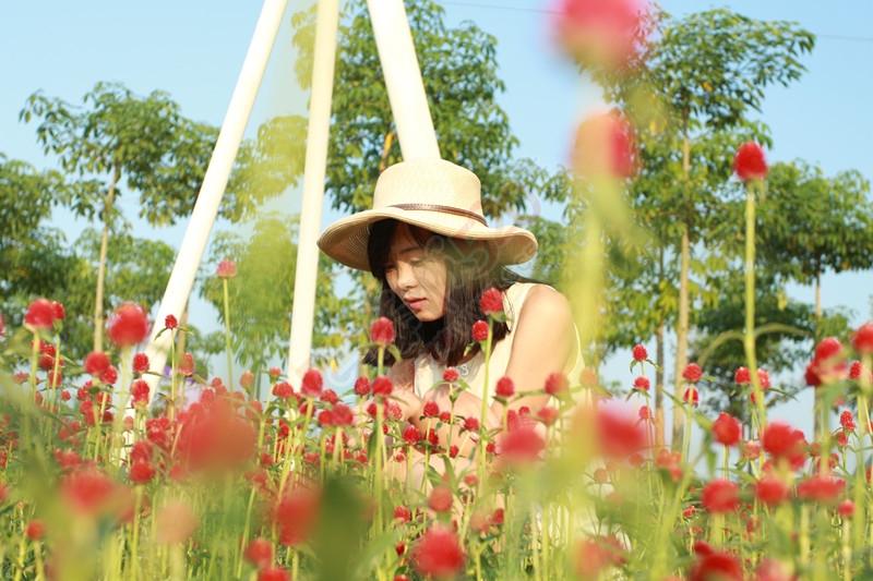 秋日万花相映红——忻城薰衣草庄园游713 / 作者:kexin520 / 帖子ID:179628