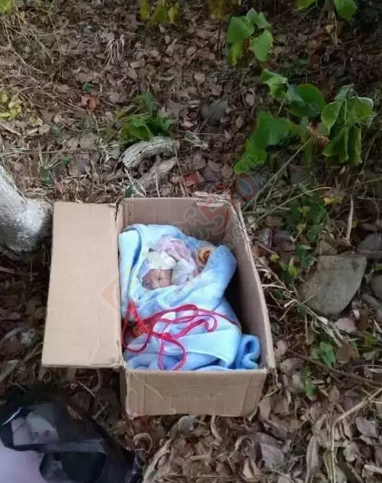 恭城栗木井塘村口惊现四十天男性弃婴！强烈谴责该狠心父母！800 / 作者:千变万幻 / 帖子ID:179906