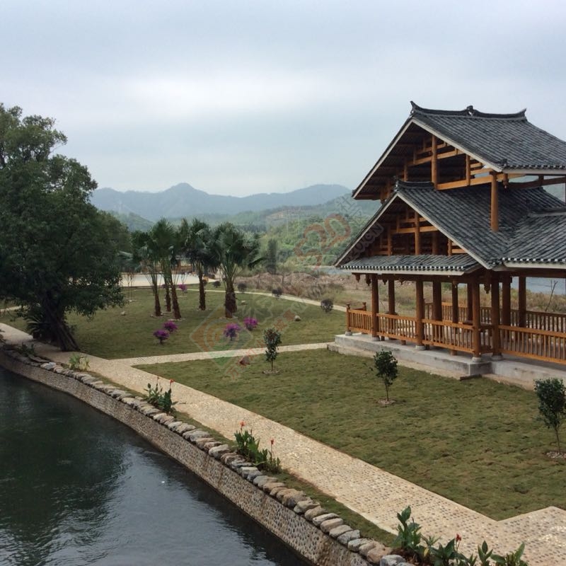 又一个旅游胜地龙虎乡458 / 作者:紫乌鸦 / 帖子ID:180476