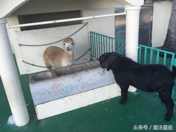 人生路漫漫、风景随便看！793 / 作者:哈嘎秋裤不过 / 帖子ID:181263
