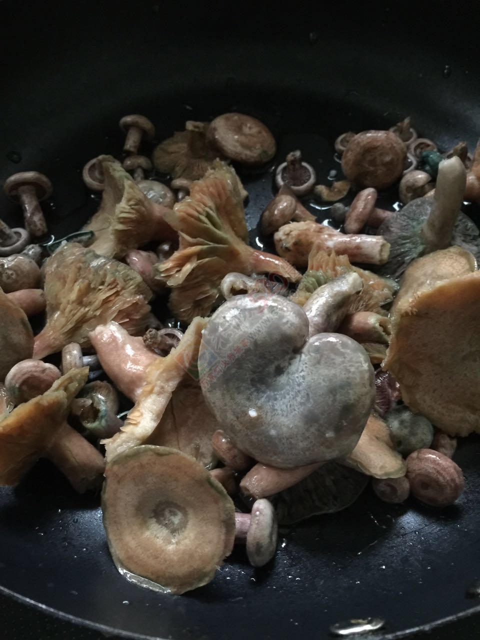枞树菌根土鸡更陪102 / 作者:浪迹天涯人 / 帖子ID:181619